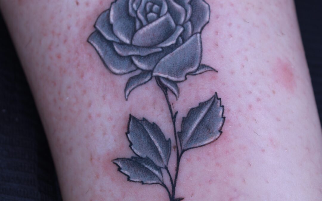 rose en bouton sur tige nuances de gris