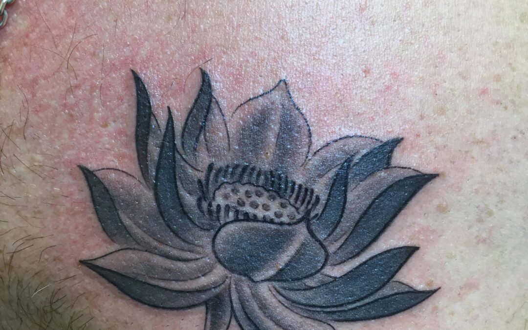 lotus nuance de gris